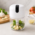 Mini USB Food Chopper